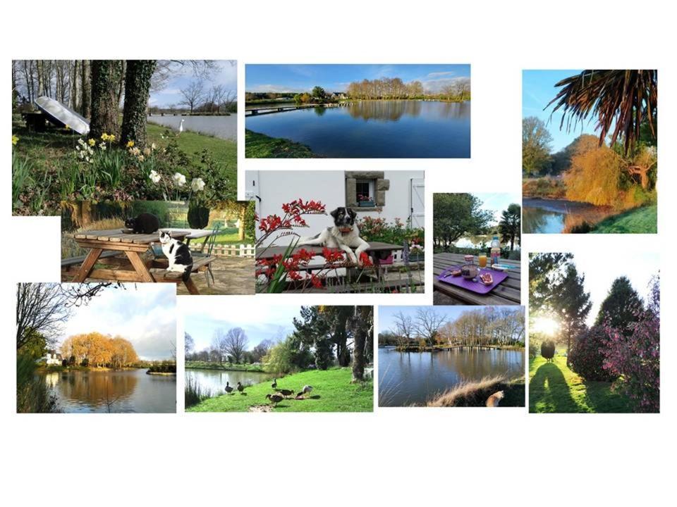 Le Sanctuaire Bed & Breakfast Missillac ภายนอก รูปภาพ